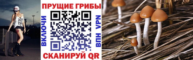 Псилоцибиновые грибы прущие грибы  что такое наркотик  Рассказово 